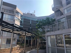 200 m² Office Space in Celtisdal