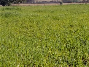 2974 m² Land available in Hobhouse