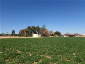 17.5 ha Farm in Grootvlei AH