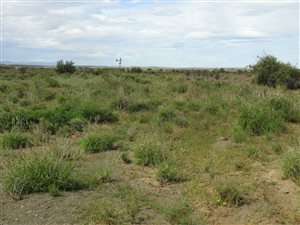 4420 ha Farm in Merweville
