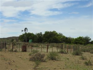 4420 ha Farm in Merweville