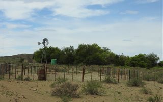 4420 ha Farm in Merweville