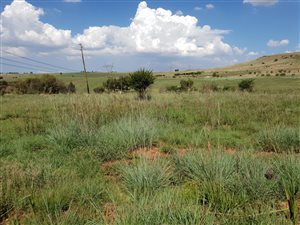 10 ha Land available in Walkerville