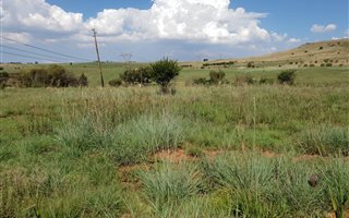 10 ha Land available in Walkerville