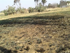 1 ha Land available in Walkerville
