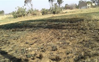 1 ha Land available in Walkerville