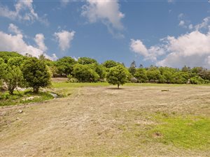 1991 m² Land available in Bryanston