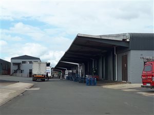 43400 m² Commercial space in Willowton