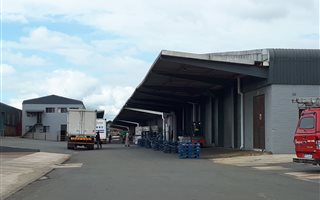 43400 m² Commercial space in Willowton