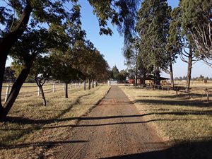 10 ha Farm in De Deur