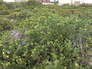 369 m² Land available in Kleinkrantz