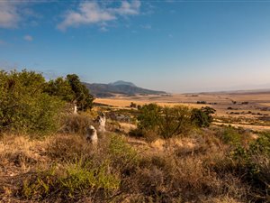 1069 m² Land available in Piketberg