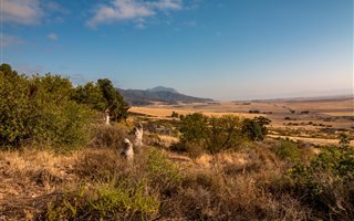 1069 m² Land available in Piketberg