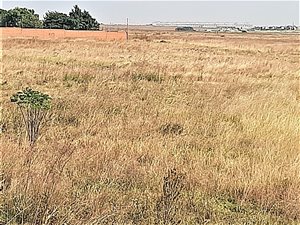 5 ha Farm in Zesfontein AH