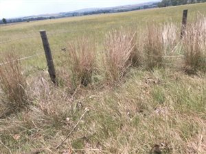 53 ha Farm in Deneysville