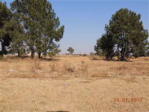 1.8 ha Farm in De Deur