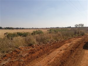 1 ha Land available in Rietkol AH