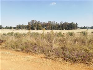 1 ha Land available in Rietkol AH