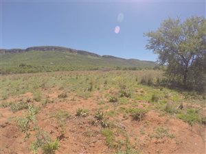 42 ha Farm in Magaliesburg