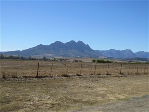 114 ha Farm in Stellenbosch Central