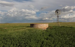 862 ha Farm in Edenburg
