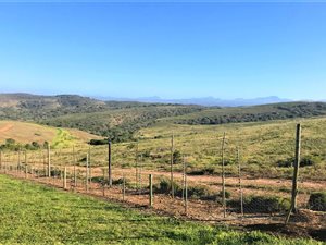 493 m² Land available in Monte Christo