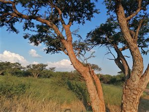 837 m² Land available in Chroom Park