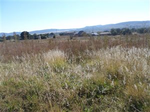 986 m² Land available in Vaaloewer