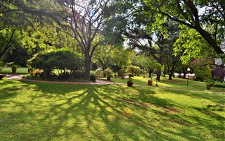 1 Bedroom Apartment in Benmore Gardens