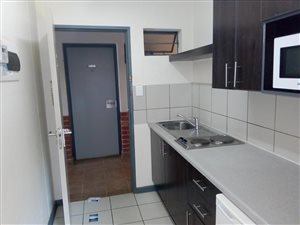 Bachelor apartment in Willowbrook