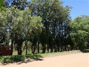 8093 m² Farm in Kroondal