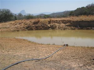 45 ha Farm in Mookgophong (Naboomspruit)