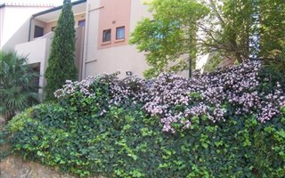 2 Bedroom Apartment in Wilro Park