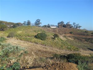 5.5 ha Farm in Sea Park
