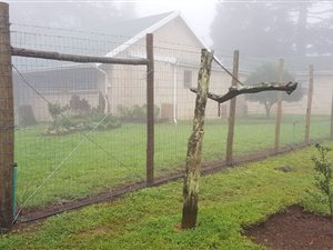 6 Bedroom House in Hogsback