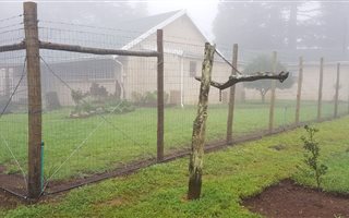 6 Bedroom House in Hogsback