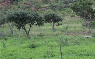 35 ha Farm in Modimolle
