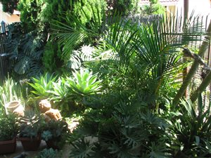 4 Bed House in Karen Park