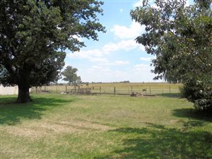 37 ha Farm in Bethlehem