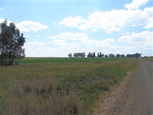 37 ha Farm in Bethlehem
