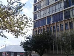 1 Bed Flat in Newtown