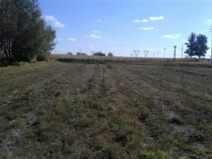 13 ha Farm in Witbank