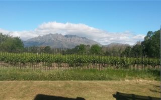 3 Bedroom House in Wellington Central