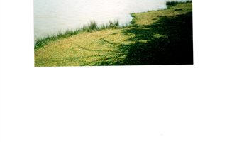 8.9 ha Land available in Vaalbank