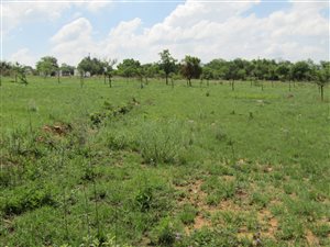 4 ha Land available in Chartwell