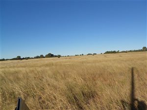 8 m² Land available in Bainsvlei
