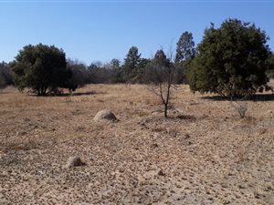 1.5 ha Land available in Glenferness AH