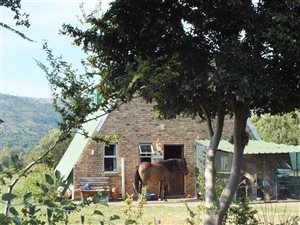 2.6 ha Farm in Hennops River