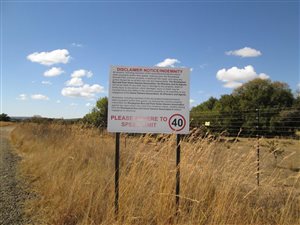 5.6 ha Farm in Roodeplaat