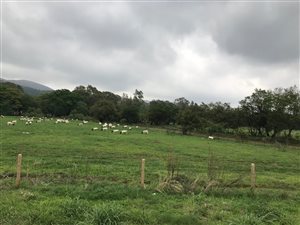 2.4 ha Farm in Waterglen